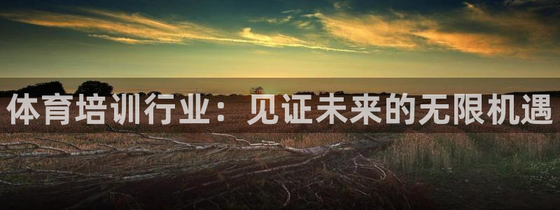 欧陆娱乐安全?：体育培训行业：见证未来的无限机遇