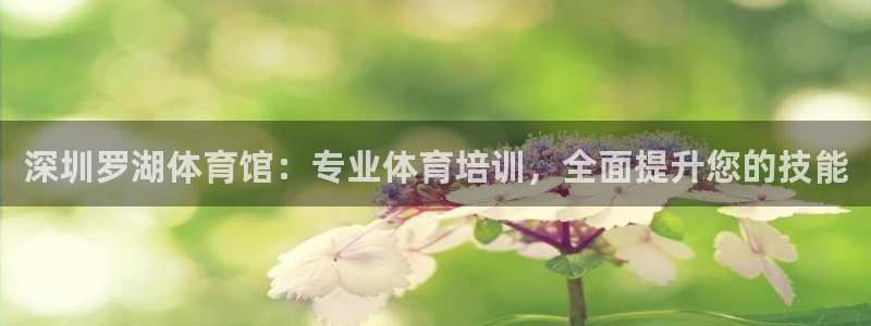 欧陆娱乐中国：深圳罗湖体育馆：专业体育培训，全面提升您的技能