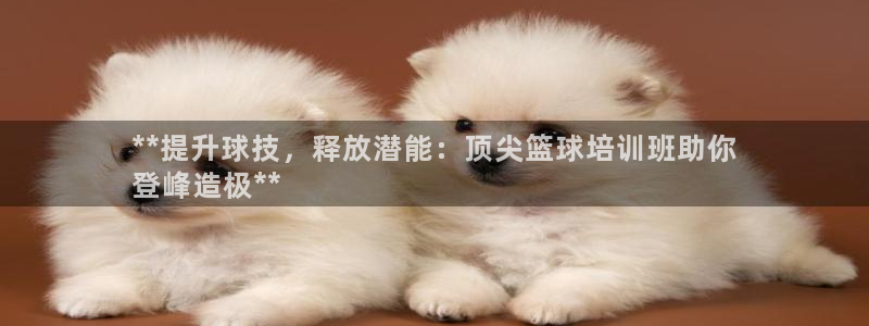 欧陆娱乐登陆官网下载：**提升球技，释放潜能：顶尖篮