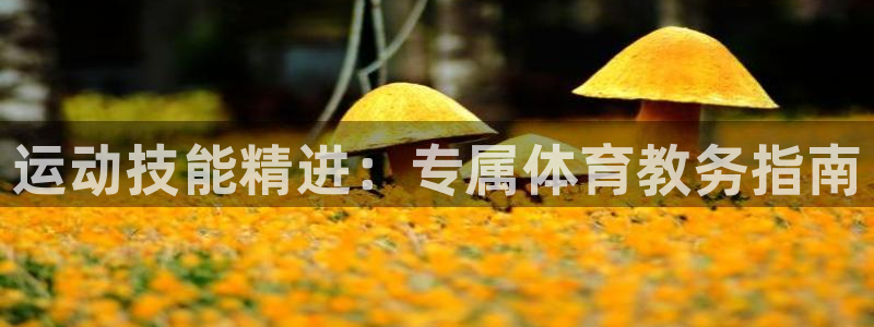 欧陆娱乐代理 贴吧：运动技能精进：专属体育教务指南