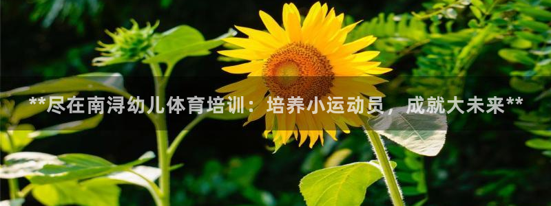 欧陆商城：**尽在南浔幼儿体育培训：培养小运动员，成