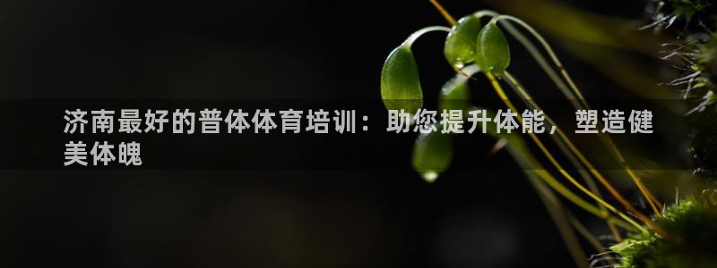 欧陆娱乐平台登录不上去怎么回事：济南最好的普体体育培