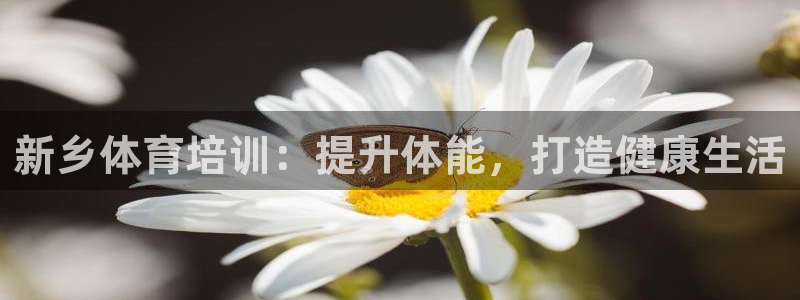 欧陆娱乐怎么注册账号：新乡体育培训：提升体能，打造健