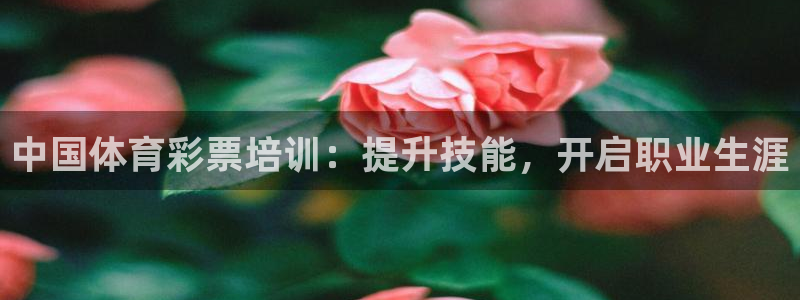 欧陆娱乐平台登录不上去：中国体育彩票培训：提升技能，开启职业