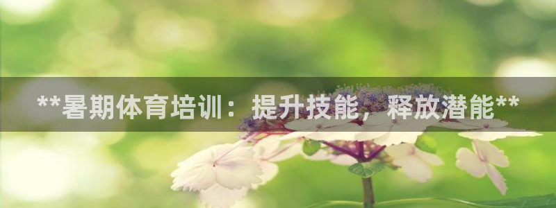 欧陆娱乐官网注册中心：**暑期体育培训：提升技能，释放潜能*