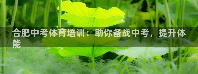 欧陆娱乐登录注册平台官网：合肥中考体育培训：助你备战