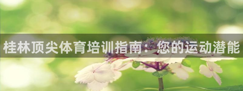 欧陆娱乐平台咋样啊安全吗：桂林顶尖体育培训指南：您的