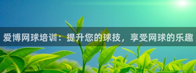 欧陆娱乐脚本怎么下载：爱博网球培训：提升您的球技，享