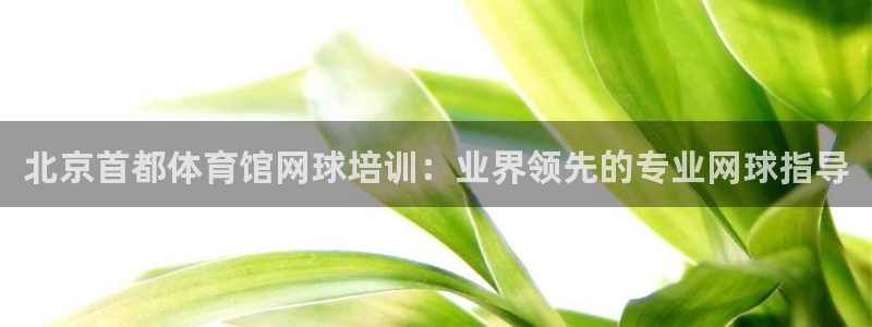 欧陆娱乐：北京首都体育馆网球培训：业界领先的专业网球
