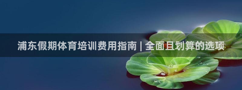 欧陆娱乐平台登陆地址是什么：浦东假期体育培训费用指南