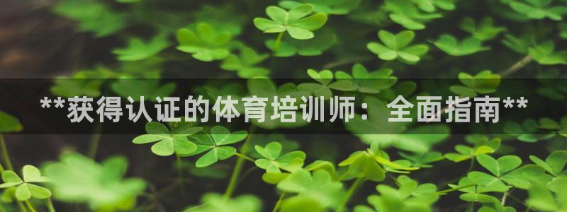 欧陆娱乐里面怎么看打排五