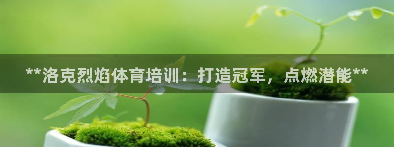 欧陆娱乐平台咋样啊安全吗