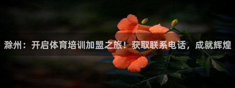 欧陆娱乐有限公司招聘：滁州：开启体育培训加盟之旅！获