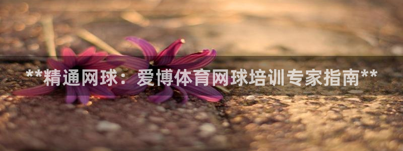 欧陆娱乐是干什么的：**精通网球：爱博体育网球培训专家指南*
