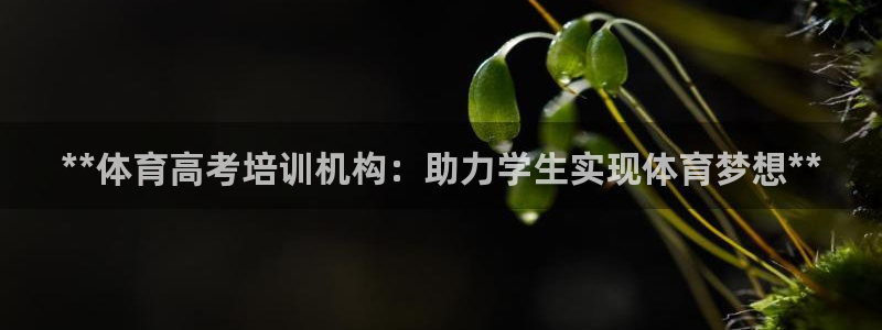 欧陆娱乐代理多少个点位啊：**体育高考培训机构：助力