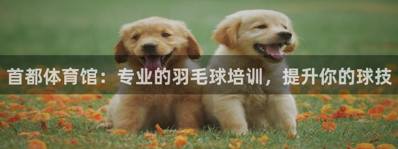 欧陆娱乐不让提现怎么办：首都体育馆：专业的羽毛球培训，提升你